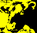Cow Screen Print Black/Yellow