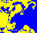 Cow Screen Print Blue/Yellow